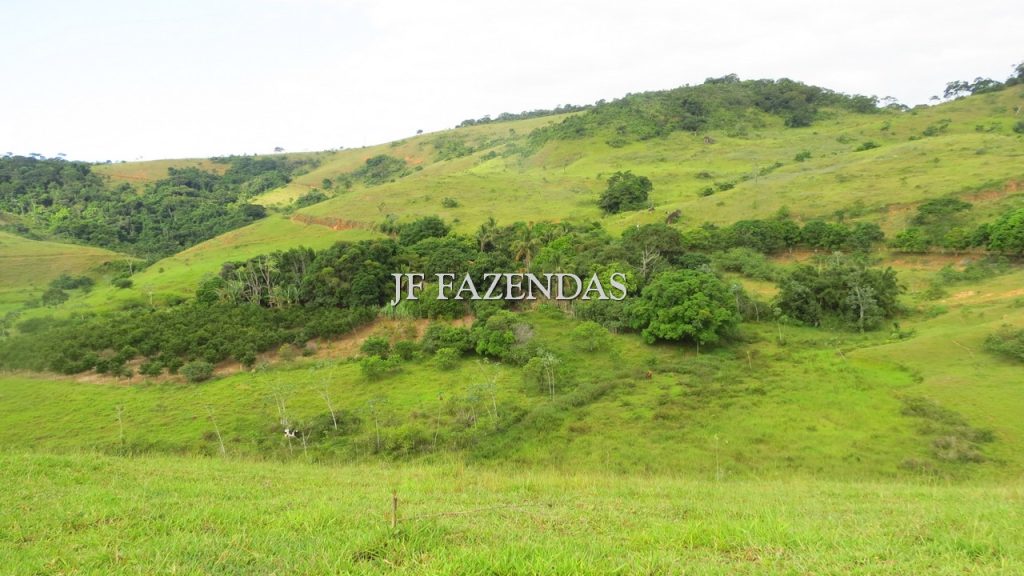 Fazenda em São João Nepomuceno – MG – 302 hectares Fazenda em São João Nepomuceno – MG – 302 hectares