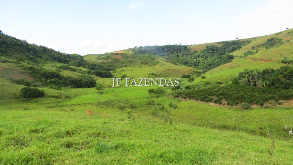 Fazenda em São João Nepomuceno – MG – 302 hectares Fazenda em São João Nepomuceno – MG – 302 hectares