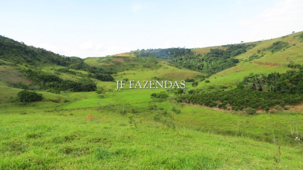 Fazenda em São João Nepomuceno – MG – 302 hectares Fazenda em São João Nepomuceno – MG – 302 hectares