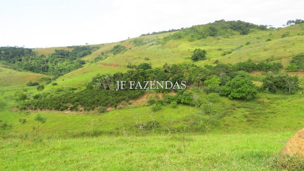 Fazenda em São João Nepomuceno – MG – 302 hectares Fazenda em São João Nepomuceno – MG – 302 hectares