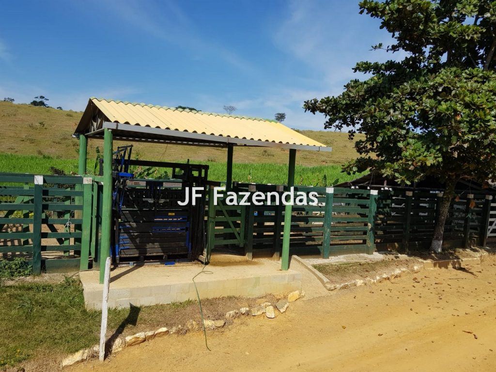 Sítio em Rio Novo – MG 31 hectares Sítio em Rio Novo – MG 31 hectares