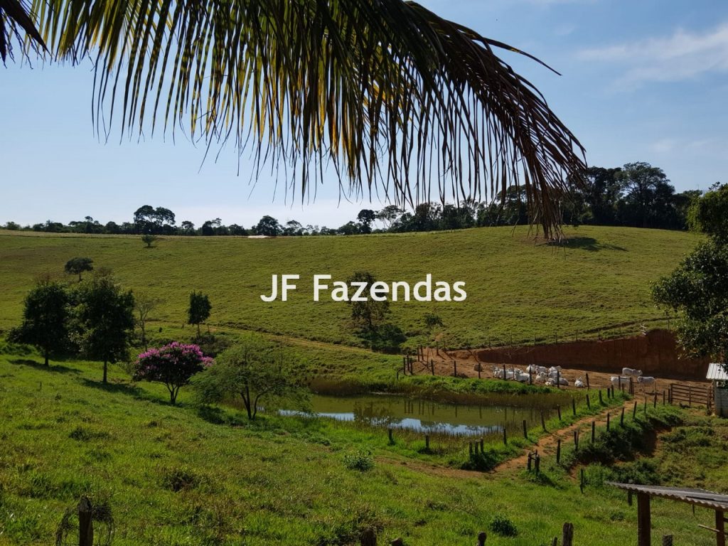 Sítio em Rio Novo – MG 31 hectares Sítio em Rio Novo – MG 31 hectares