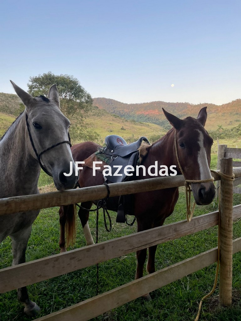 Sítio em Simão Pereira – MG 21 hectares Sítio em Simão Pereira – MG 21 hectares