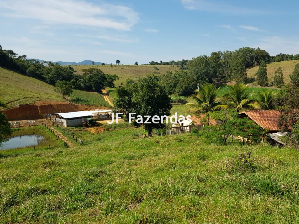 Sítio em Rio Novo – MG 31 hectares Sítio em Rio Novo – MG 31 hectares