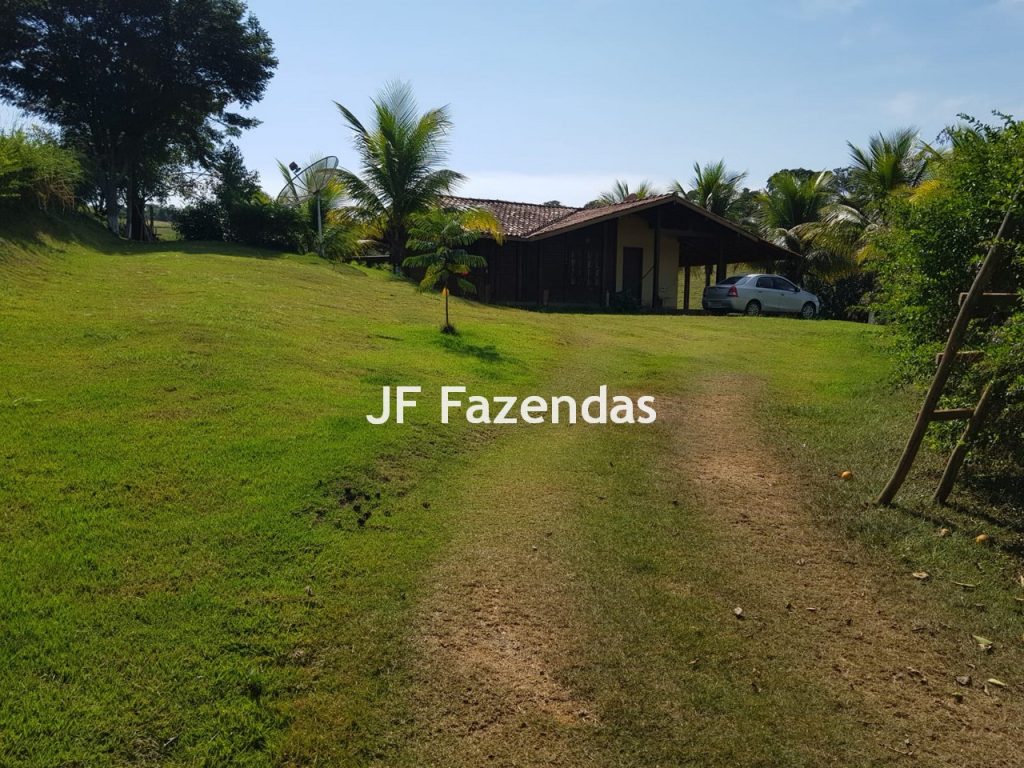 Sítio em Rio Novo – MG 31 hectares Sítio em Rio Novo – MG 31 hectares