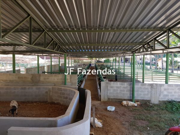 Sítio Modelo 22.4 hectares – Guarani/MG