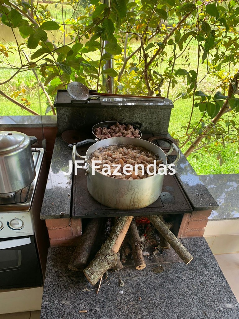 Sítio em Simão Pereira – MG 21 hectares Sítio em Simão Pereira – MG 21 hectares