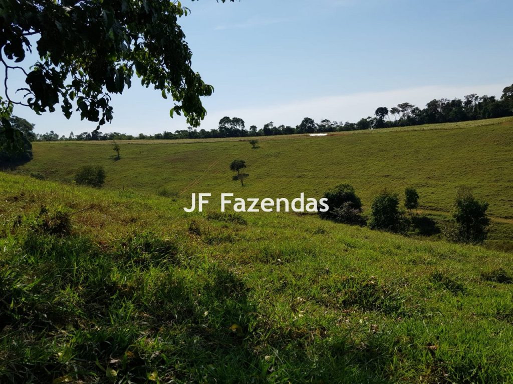 Sítio em Rio Novo – MG 31 hectares Sítio em Rio Novo – MG 31 hectares