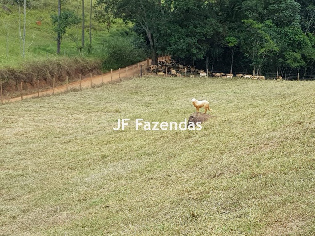 Sítio Modelo 22.4 hectares – Guarani/MG Sítio Modelo 22.4 hectares – Guarani/MG