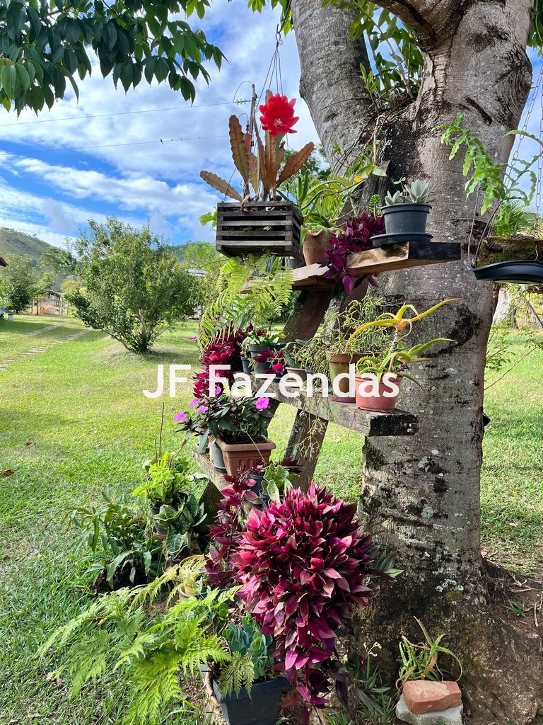 Sítio em Simão Pereira – MG 21 hectares Sítio em Simão Pereira – MG 21 hectares