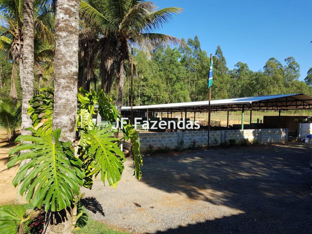 Sítio em Rio Novo – MG 31 hectares Sítio em Rio Novo – MG 31 hectares