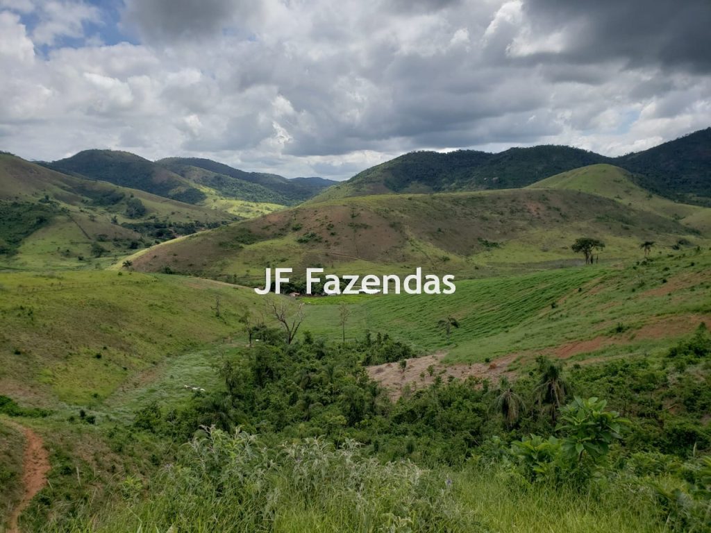Sítio em Simão Pereira – MG 21 hectares Sítio em Simão Pereira – MG 21 hectares