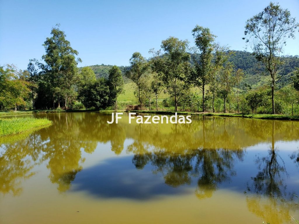 Sítio em Simão Pereira – MG 21 hectares Sítio em Simão Pereira – MG 21 hectares