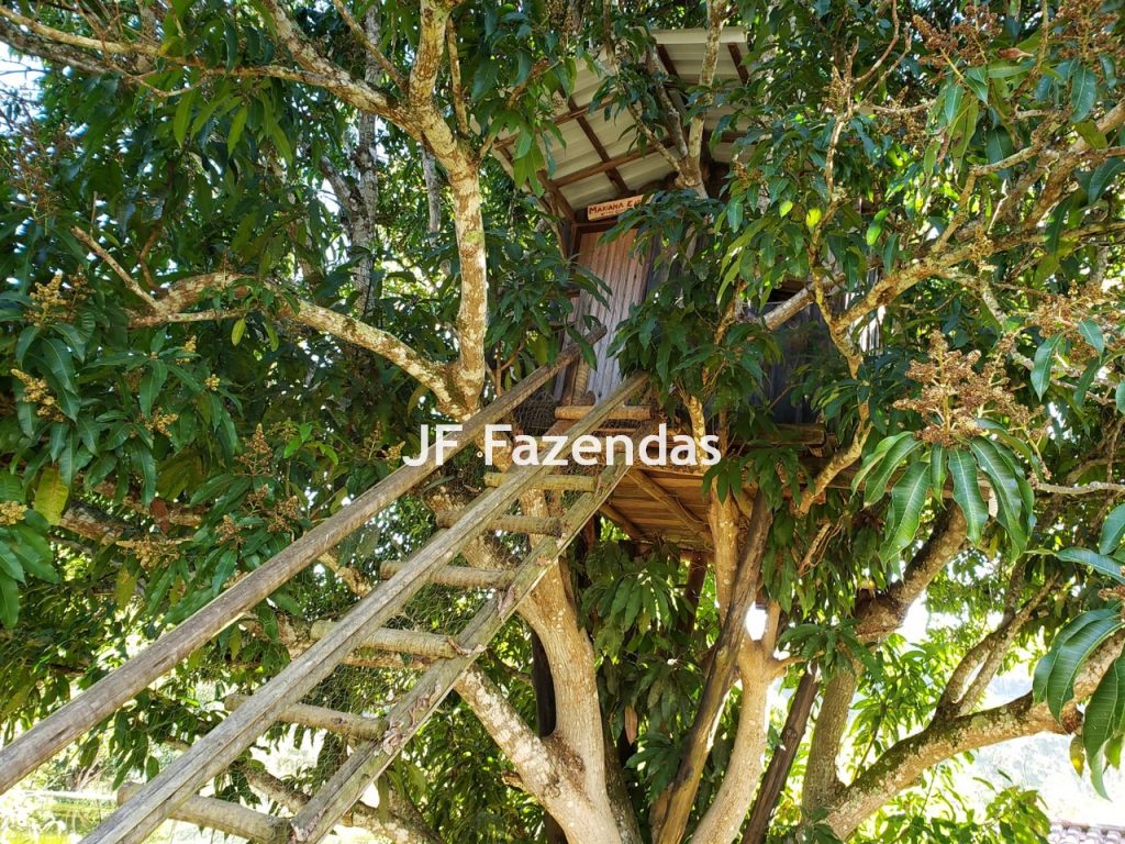 Sítio em Simão Pereira – MG 21 hectares Sítio em Simão Pereira – MG 21 hectares