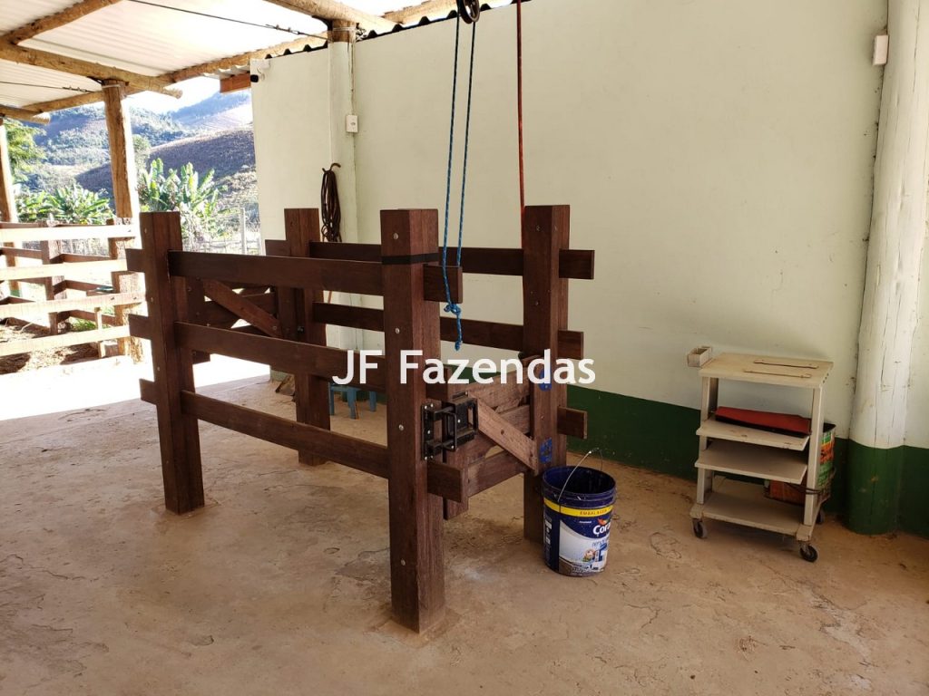 Sítio em Simão Pereira – MG 21 hectares Sítio em Simão Pereira – MG 21 hectares