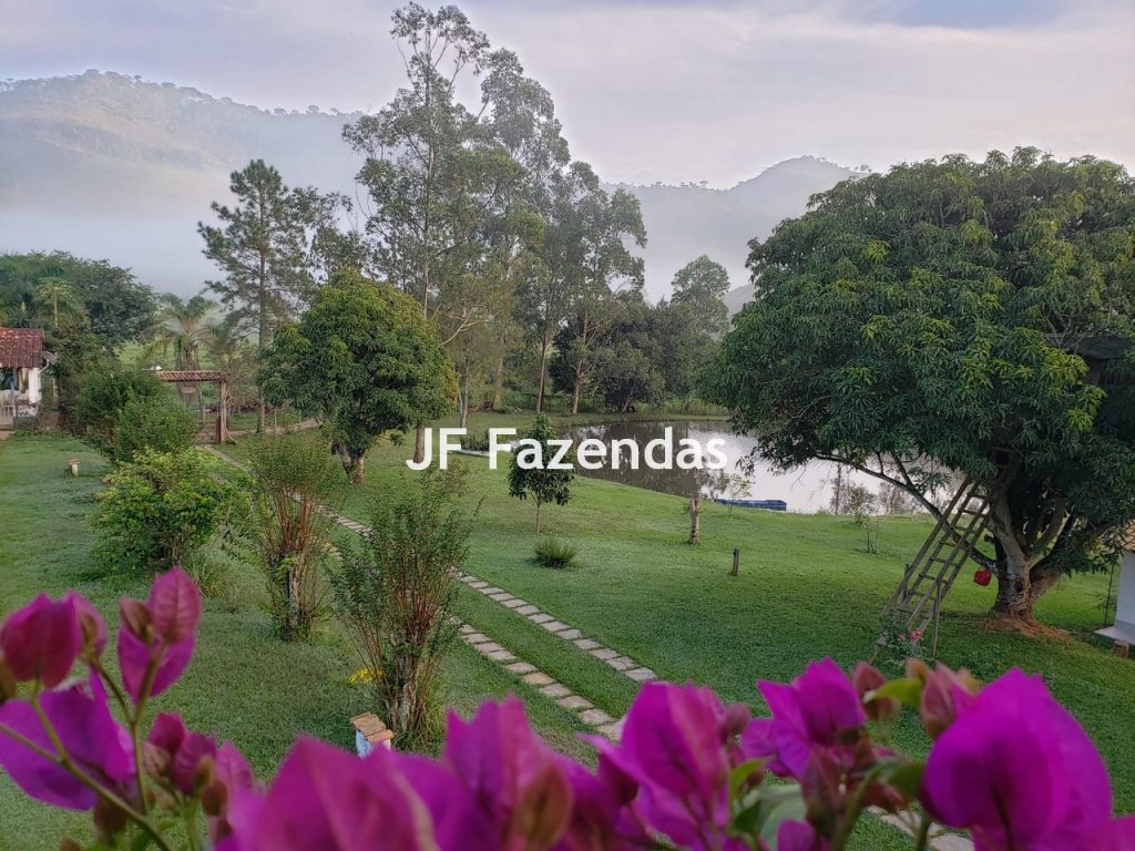 Sítio em Simão Pereira – MG 21 hectares Sítio em Simão Pereira – MG 21 hectares