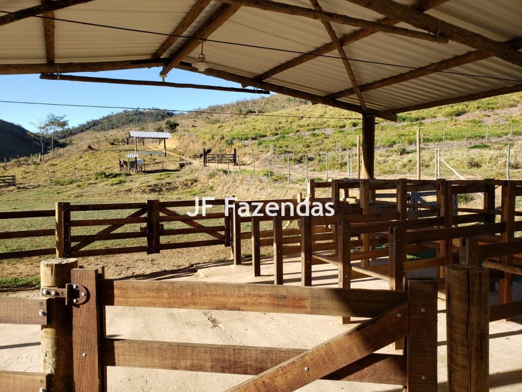Sítio em Simão Pereira – MG 21 hectares Sítio em Simão Pereira – MG 21 hectares