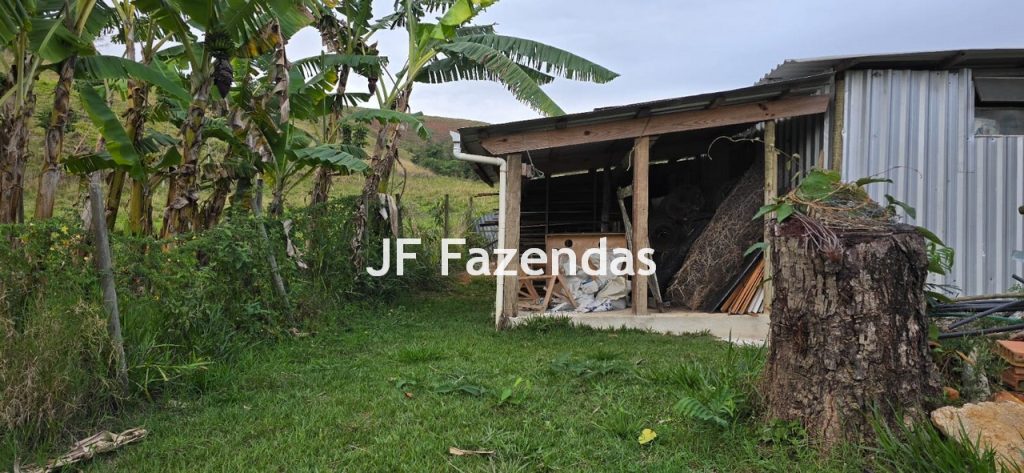 Sítio em Simão Pereira – MG 21 hectares Sítio em Simão Pereira – MG 21 hectares