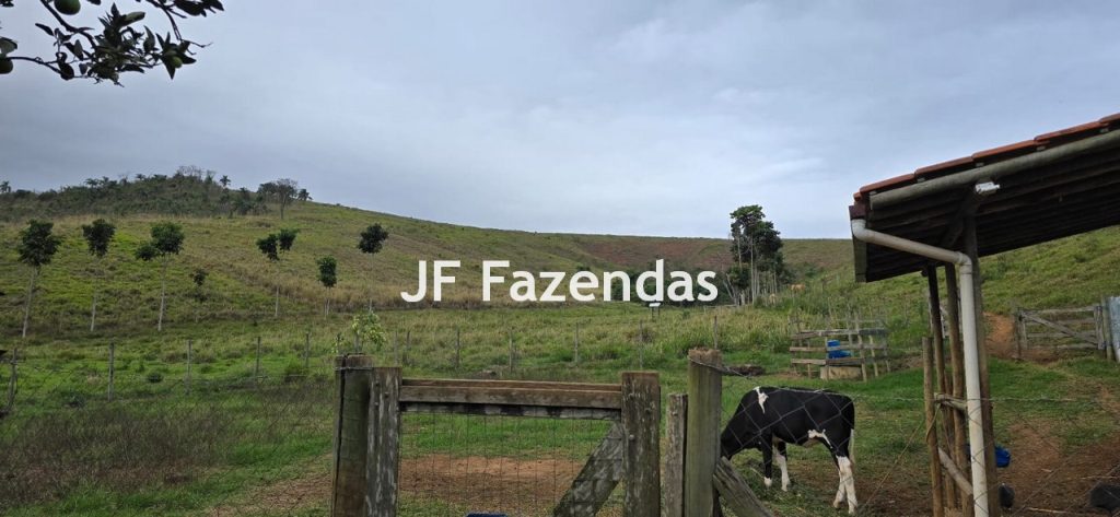 Sítio em Simão Pereira – MG 21 hectares Sítio em Simão Pereira – MG 21 hectares