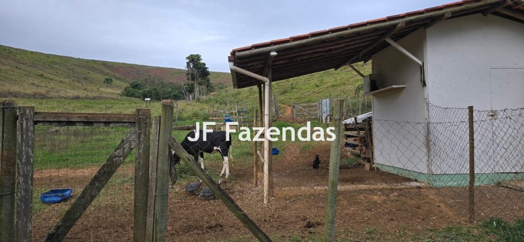 Sítio em Simão Pereira – MG 21 hectares Sítio em Simão Pereira – MG 21 hectares