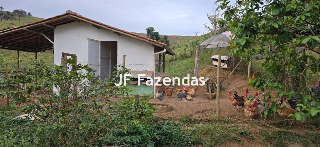 Sítio em Simão Pereira – MG 21 hectares Sítio em Simão Pereira – MG 21 hectares