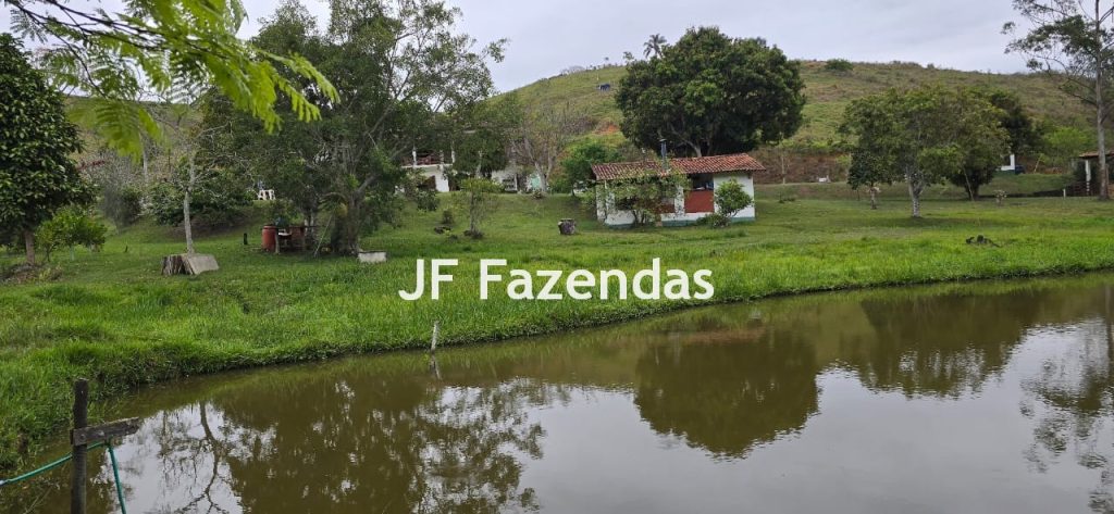 Sítio em Simão Pereira – MG 21 hectares Sítio em Simão Pereira – MG 21 hectares