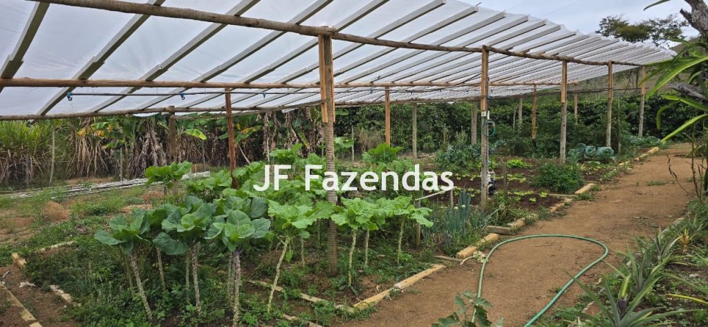 Sítio em Simão Pereira – MG 21 hectares Sítio em Simão Pereira – MG 21 hectares