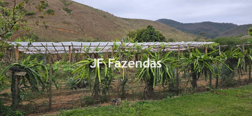 Sítio em Simão Pereira – MG 21 hectares Sítio em Simão Pereira – MG 21 hectares