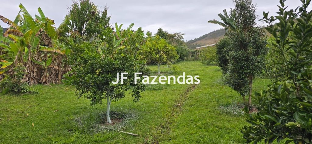 Sítio em Simão Pereira – MG 21 hectares Sítio em Simão Pereira – MG 21 hectares