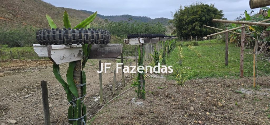 Sítio em Simão Pereira – MG 21 hectares Sítio em Simão Pereira – MG 21 hectares
