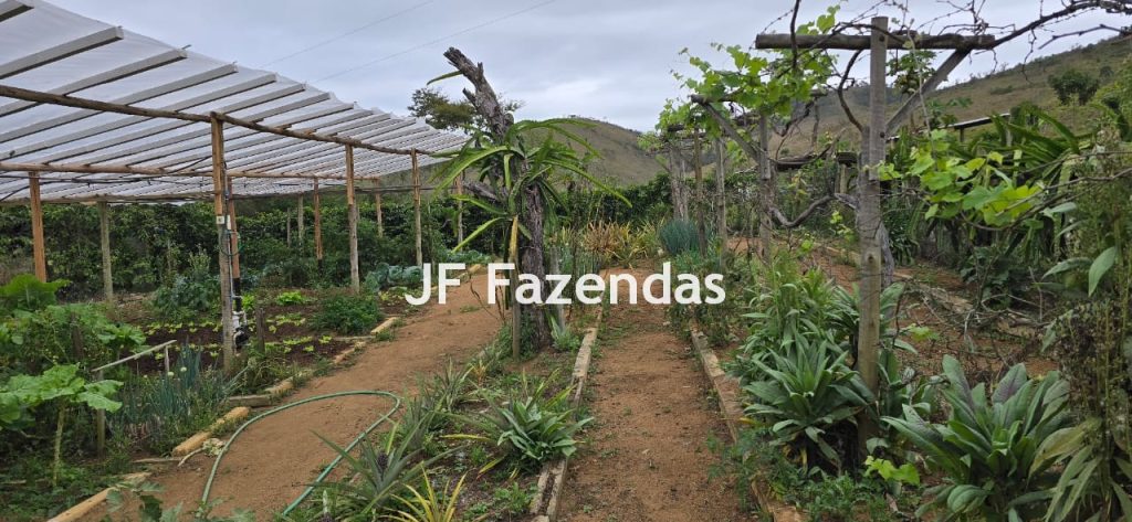 Sítio em Simão Pereira – MG 21 hectares Sítio em Simão Pereira – MG 21 hectares