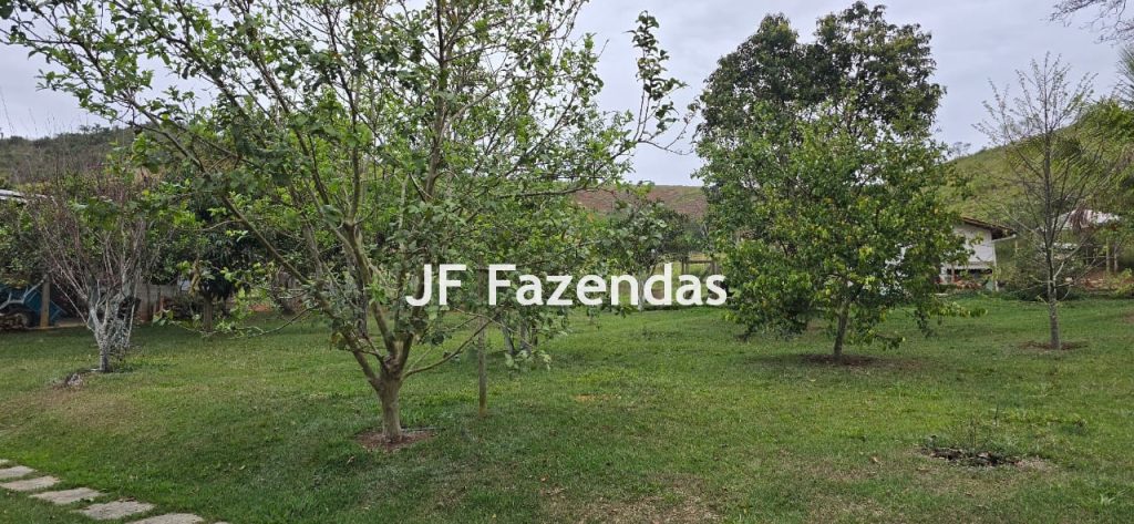 Sítio em Simão Pereira – MG 21 hectares Sítio em Simão Pereira – MG 21 hectares