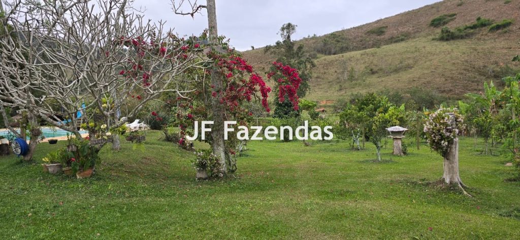 Sítio em Simão Pereira – MG 21 hectares Sítio em Simão Pereira – MG 21 hectares