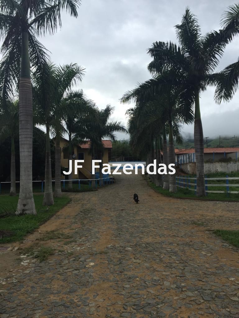 Fazenda em São João Nepomuceno – 266 Hectares