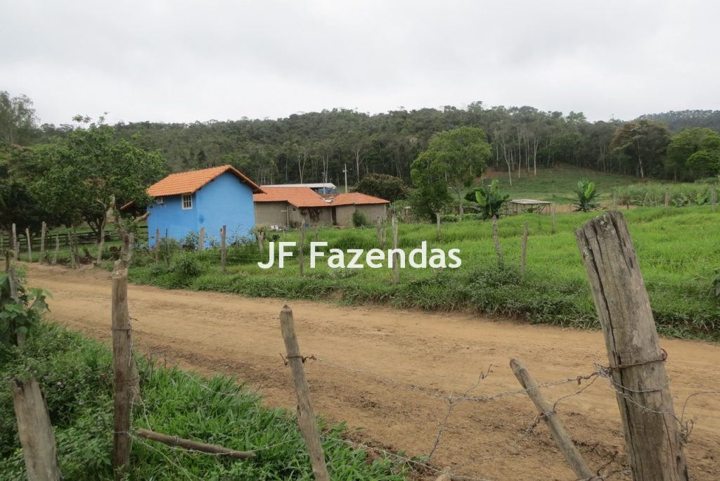 Sitio em Pedro Teixeira – MG – 69,71 hectares