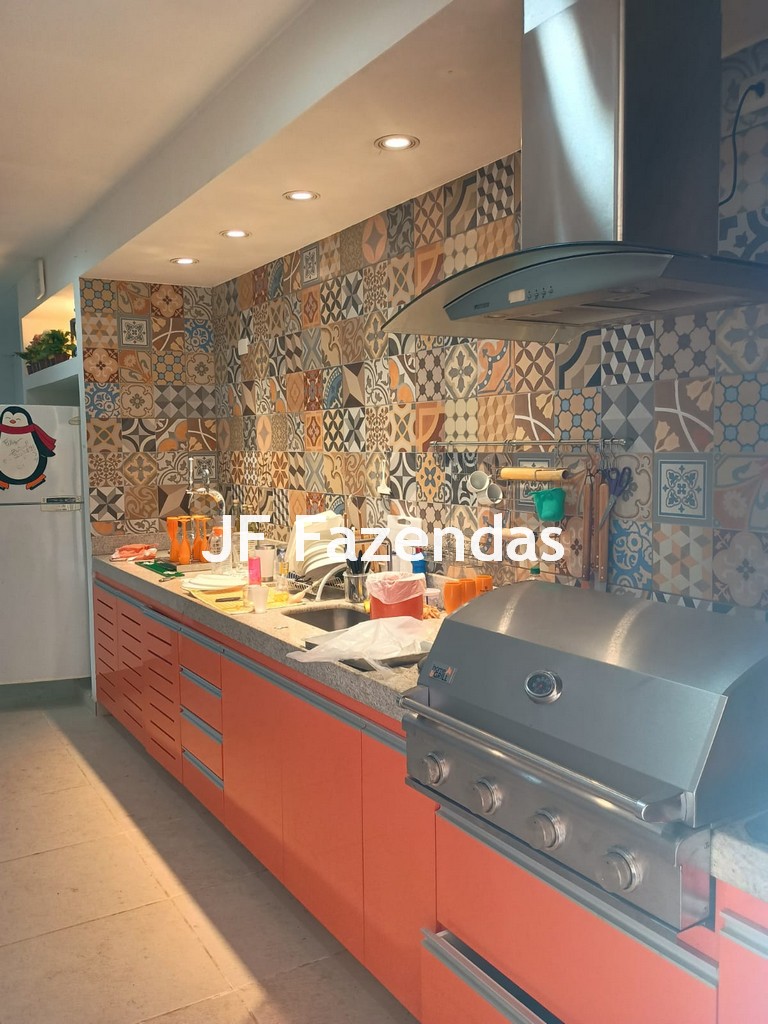 Fazenda em São João Nepomuceno – 266 Hectares