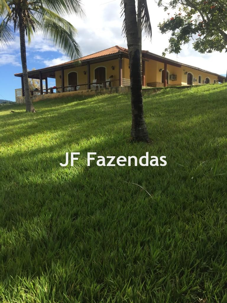 Fazenda em São João Nepomuceno – 266 Hectares