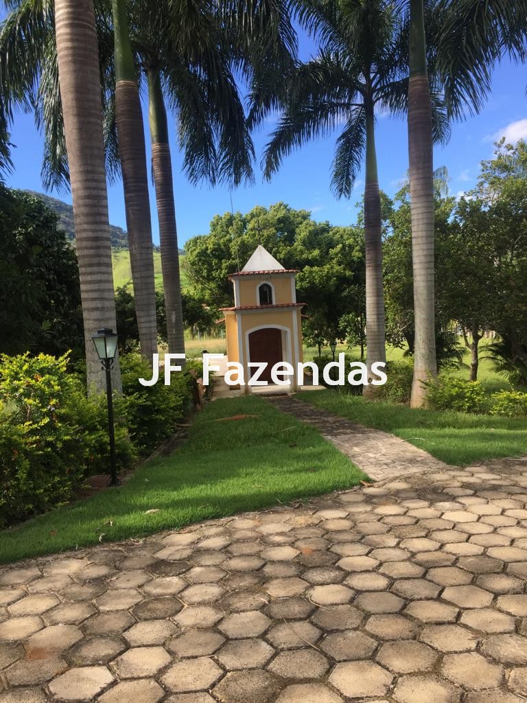 Fazenda em São João Nepomuceno – 266 Hectares