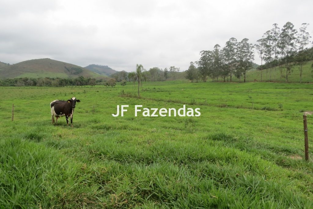 Sitio em Pedro Teixeira – MG – 69,71 hectares