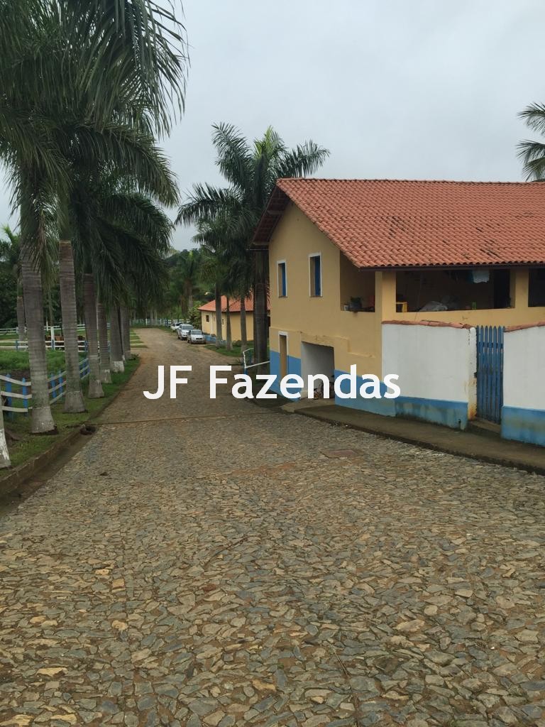 Fazenda em São João Nepomuceno – 266 Hectares