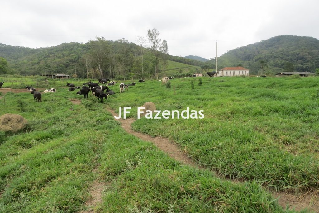 Sitio em Pedro Teixeira – MG – 69,71 hectares