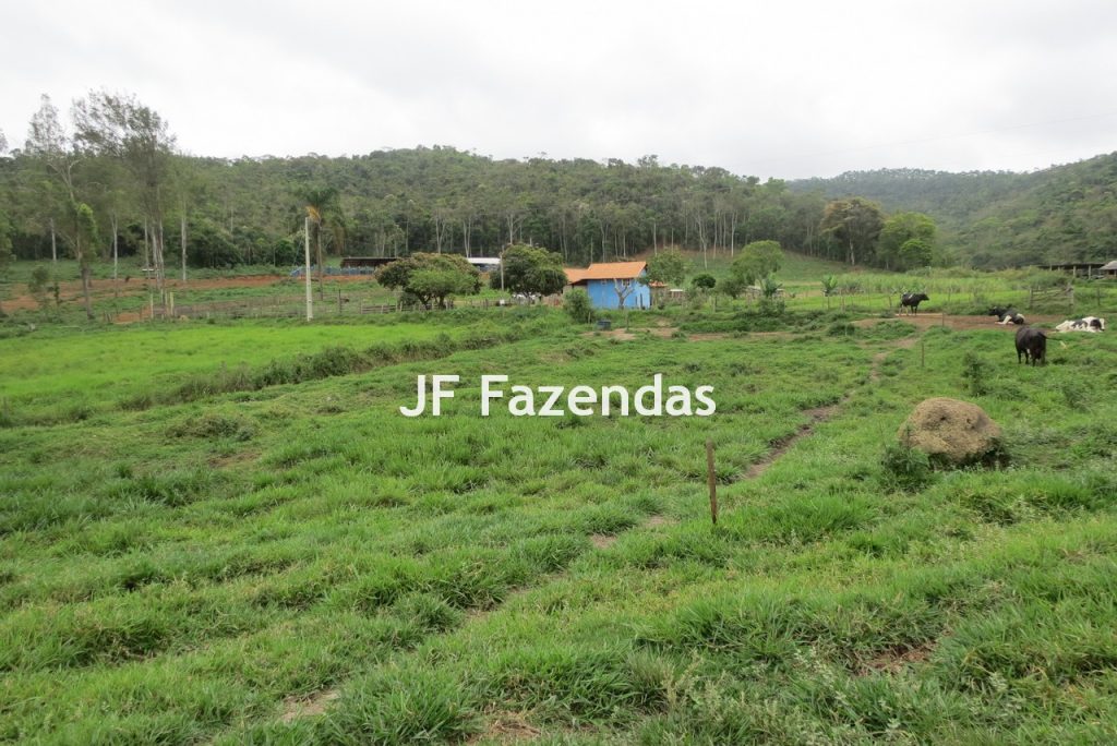 Sitio em Pedro Teixeira – MG – 69,71 hectares