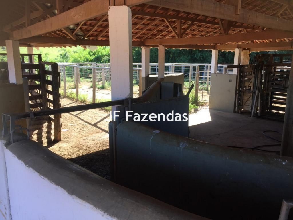 Fazenda em São João Nepomuceno – 266 Hectares