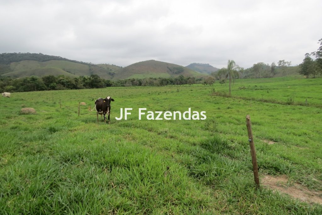 Sitio em Pedro Teixeira – MG – 69,71 hectares