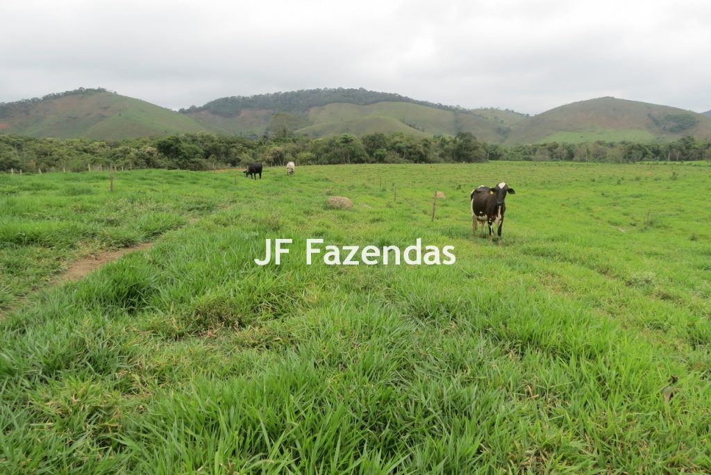 Sitio em Pedro Teixeira – MG – 69,71 hectares
