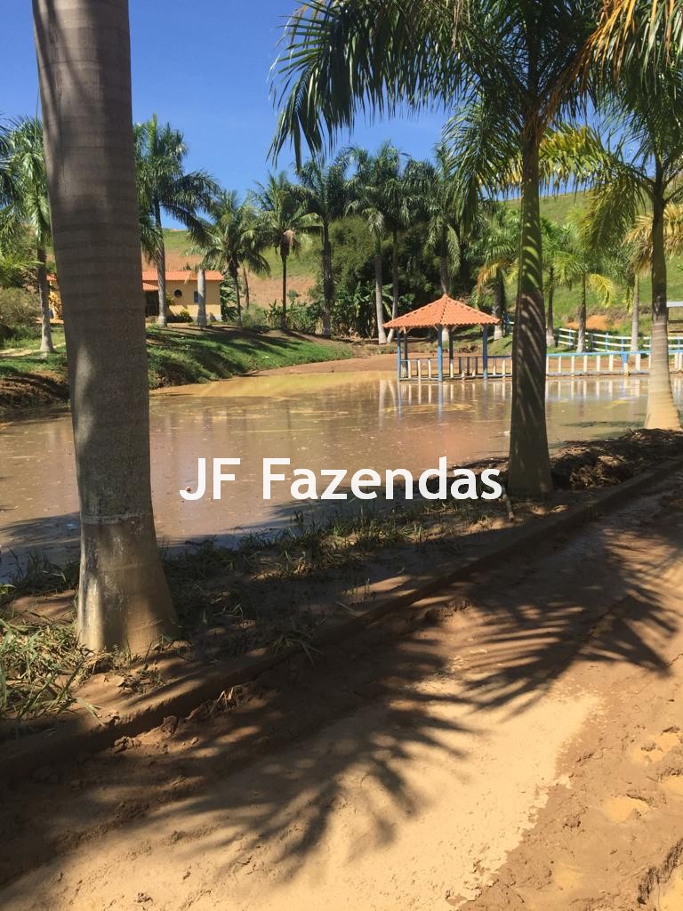 Fazenda em São João Nepomuceno – 266 Hectares