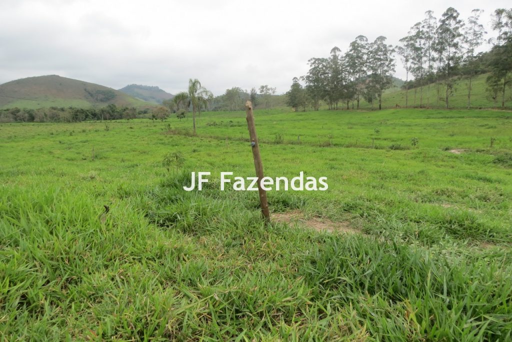 Sitio em Pedro Teixeira – MG – 69,71 hectares