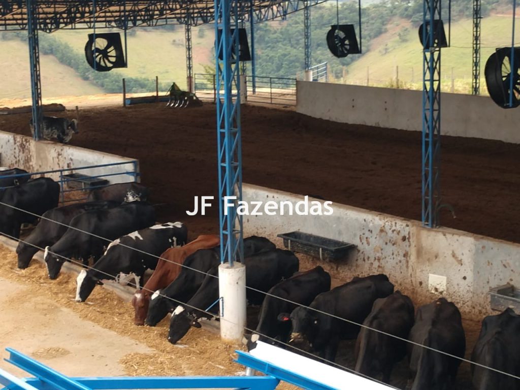 Fazenda em São João Nepomuceno – 266 Hectares