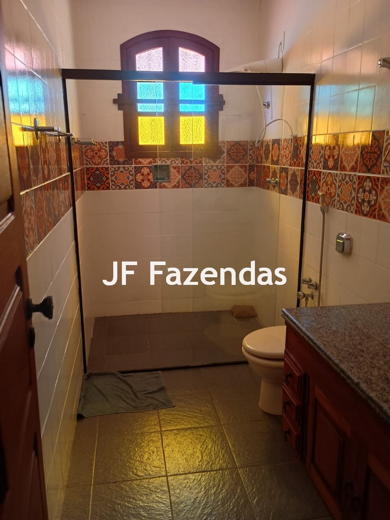 Fazenda em São João Nepomuceno – 266 Hectares