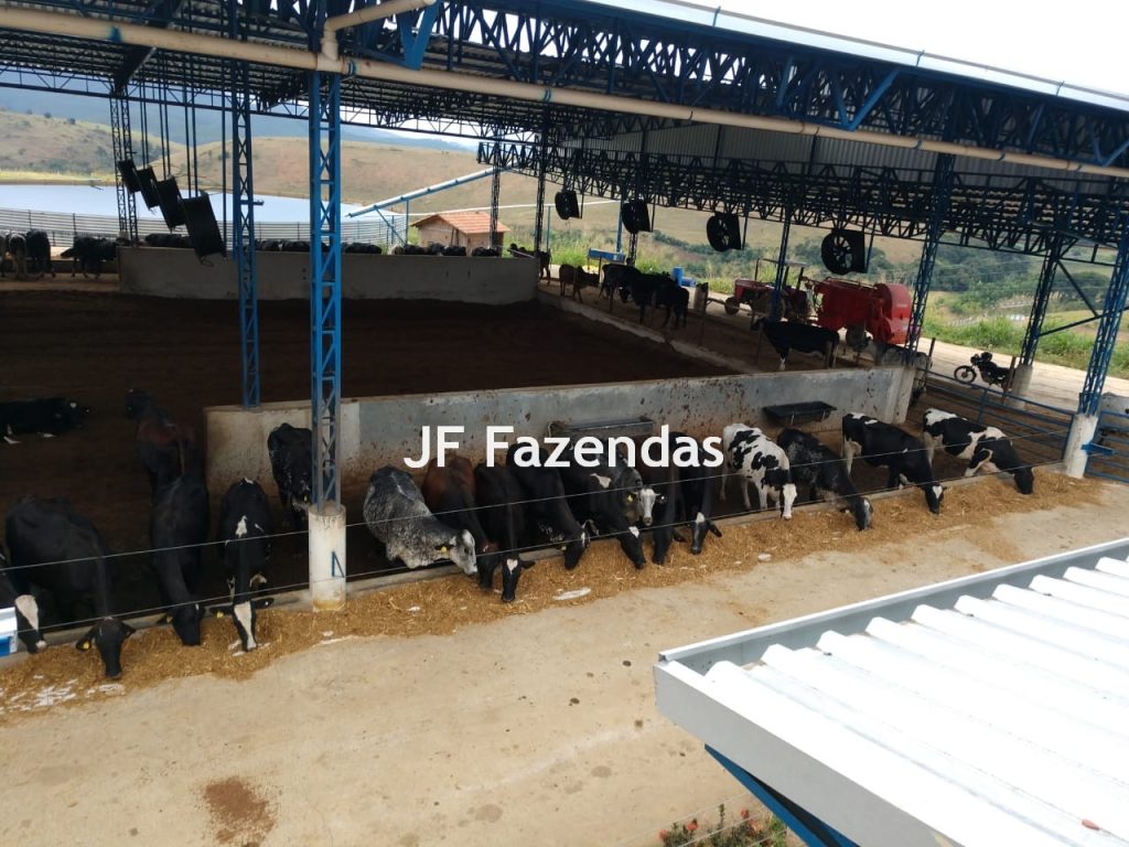 Fazenda em São João Nepomuceno – 266 Hectares